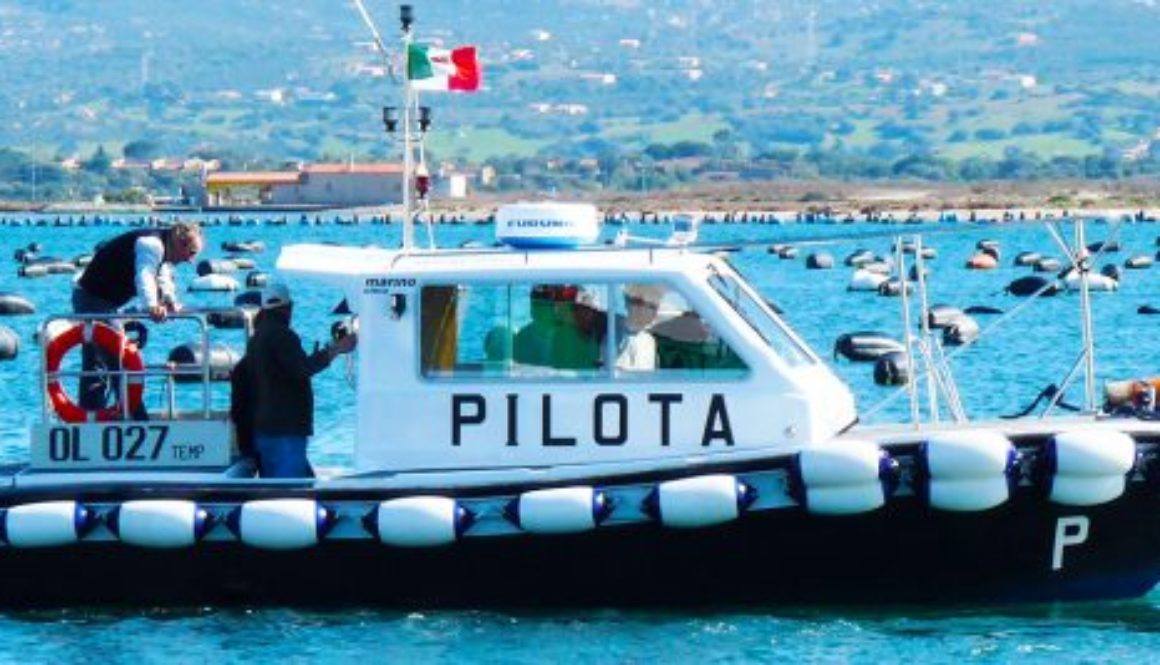 L800pilota